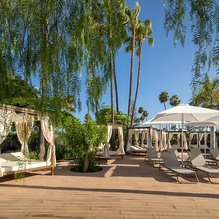 Barcelo Margaritas Royal Level Adults Only 호텔 4*